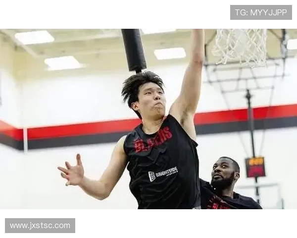 杨瀚森对位 NBA 球员的技术解析:传统中锋的现代突围